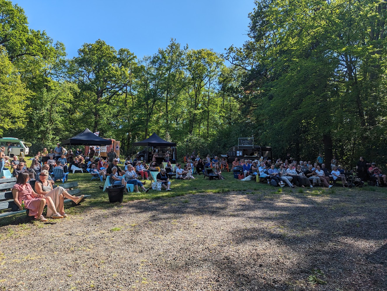 Geannuleerd | Sunday at the Park - Rock 'n' Roll and Sixties